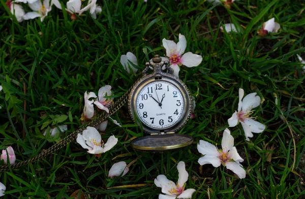 Antika saat çimenlerin üzerinde — Stok fotoğraf
