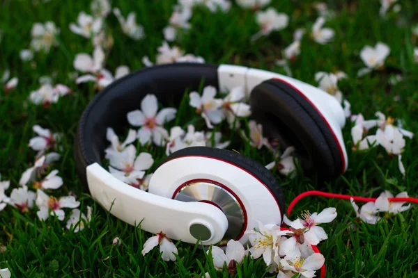 Auriculares en el parque en la naturaleza — Foto de Stock