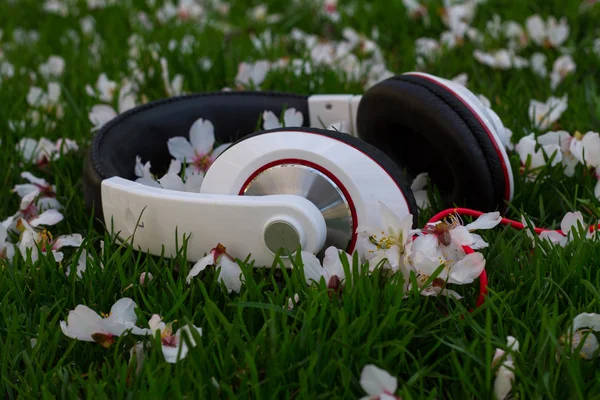 Auriculares en el parque en la naturaleza — Foto de Stock