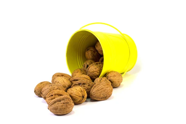 Walnut — Stock Photo, Image