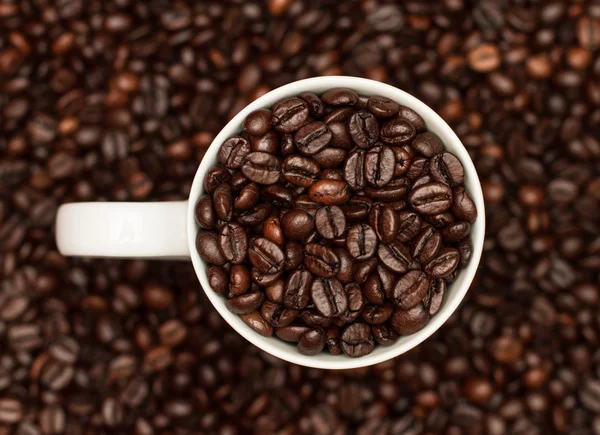 Coffee beans in a cup — Stock Photo, Image