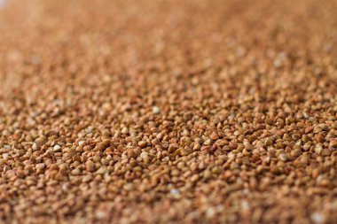 Beyaz bir arka plan üzerinde bankada buğday