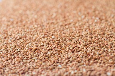 Beyaz bir arka plan üzerinde bankada buğday