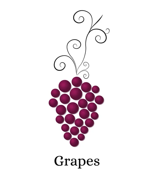 Vinstockar med massa druvor. Logotyp för winery — Stock vektor