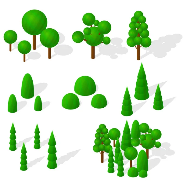 Изометрические деревья, ели и кустарники. Зеленая растительность . — стоковый вектор