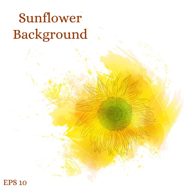 Sunflower background. Watercolor yellow flower. — Stock Vector