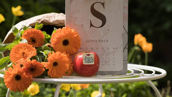 Back to School - Concept. Beautiful Autumn Flowers, Red Apple and September Calendar - on Garden Table in Sunny Day. Academic Season Start. Horizontal Image.