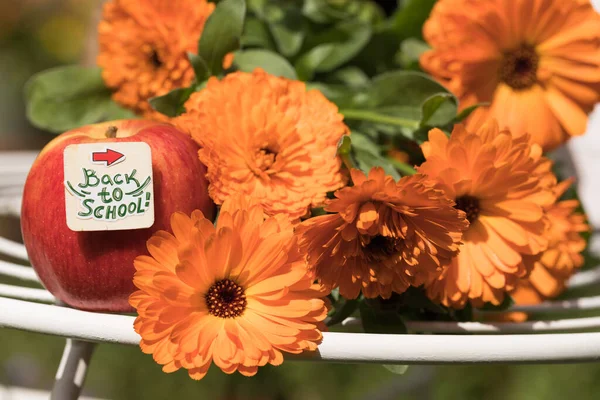 Okul Konseptine geri dönelim. Taze Kırmızı Elma, Metin, Güzel Portakal Çiçekleri ve Bulanık Takvim ile Yaratıcı Makro Dekorasyon. Güneşli Akademik Gün.
