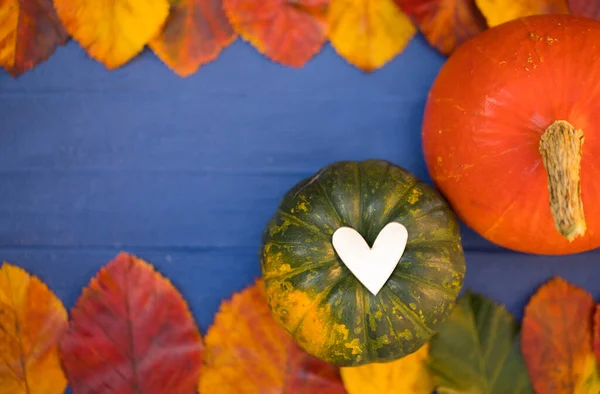 Sonbahar Şükran Günü Balkabakları. Farklı Balkabakları, Kalp Sembolü ve Parlak Kuru Yapraklar, Deniz Mavisi Ahşap Masa - Arka plan, Kopyalama Uzayı, Yatay Sancak. Yaratıcı Üst Görünüm Düz Düzey Bileşimi.