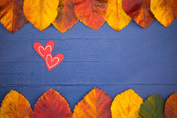 Kuru Yaprakların Renkli Çerçevesi ve İki Kırmızı Kalpli Sonbahar Ortamı Mavi Ahşap Masa Yatay Sancağında, Kopya Uzayı. Yaratıcı Üst Görünüm Düz Düzey Bileşimi.