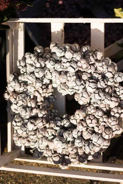 Yakın plan: Noel çelengi doğal koni ile retro tarzı güneşli bir günde bahçe merkezinde satılık ahşap bir kutunun içindedir. Ev kapısı için geleneksel şenlik dekorasyonu. Noel için hazırlık. Noel süsü, taşra tarzı..