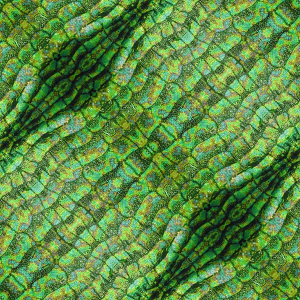 Abstract seamless reptile pattern with green scales and repeating snake texture