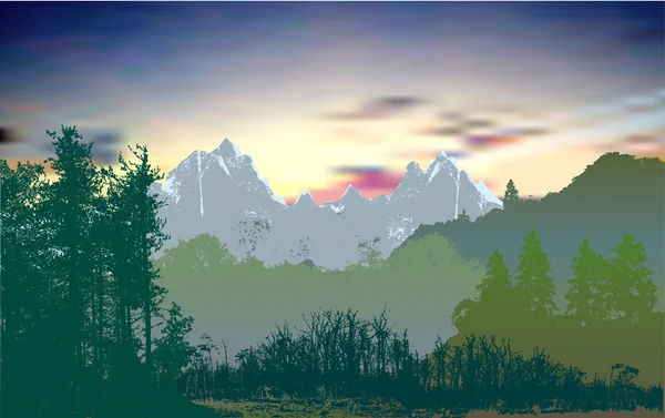 Paysage forestier panoramique de montagne sauvage avec arbres, plantes et herbe à feuilles persistantes — Image vectorielle