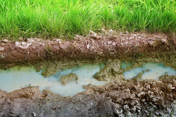 Piscina de agua con hierba que se refleja en el agua — Foto de Stock