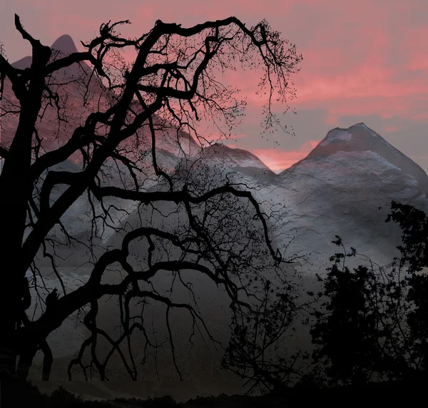 Paysage de montagne sombre avec des silhouettes d'arbres et de plantes — Photo