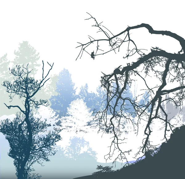 Çıplak ve karlı ağaçlar ve bitkiler ile kış panoramik manzarası