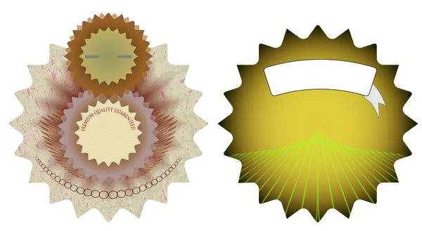 Zwei Abzeichen mit holographischem Effekt — Stockvektor