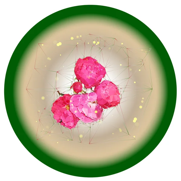 Ramo de rosas sobre un fondo brillante circular — Vector de stock