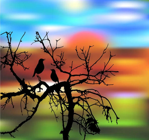 Silhueta de pássaros em uma árvore em pôr-do-sol — Vetor de Stock