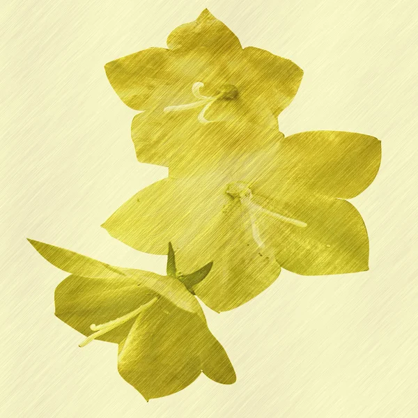 Gold relief flowers resembling old painting — Stock Photo, Image