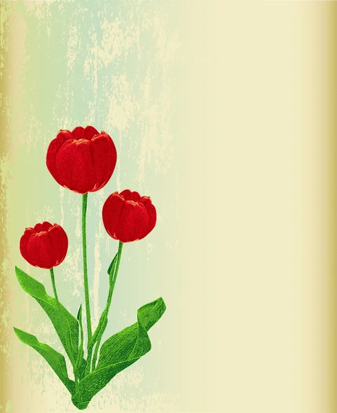 Tarjeta de acuarela vintage con tulipanes rojos en relieve — Vector de stock