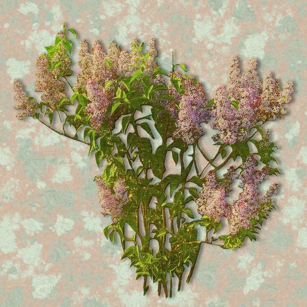 Pink relief lilac on a grunge spotted watercolor background — Stock Photo, Image