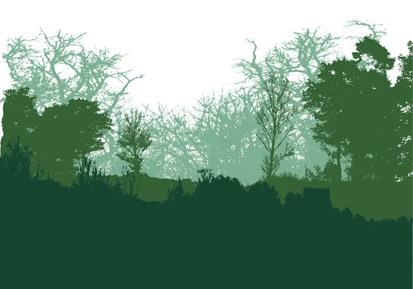 Paisaje forestal salvaje con árboles verdes y verdes oscuros, hierba y plantas — Vector de stock