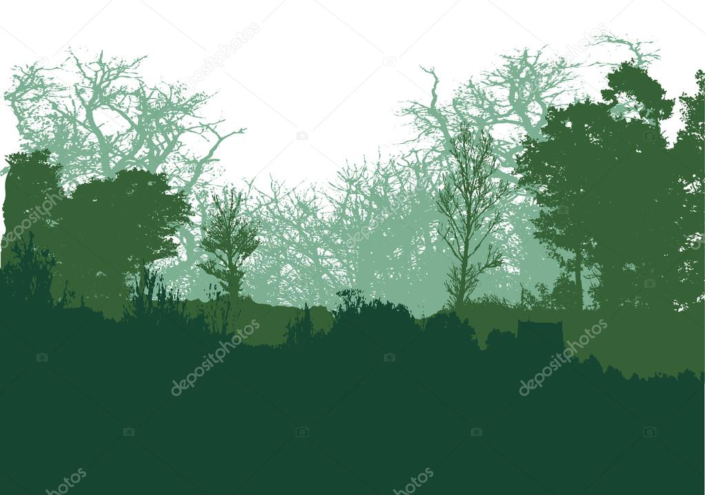 Wild forest landscape with green and dark green trees, grass and plants