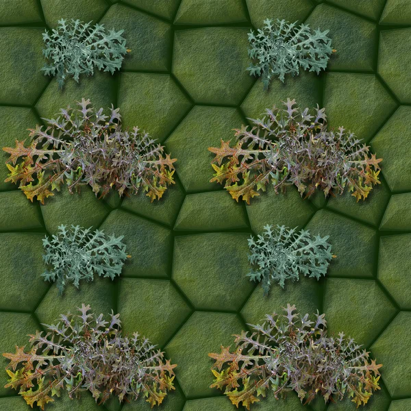 Seamless pattern of green stones and thistles — Stockfoto