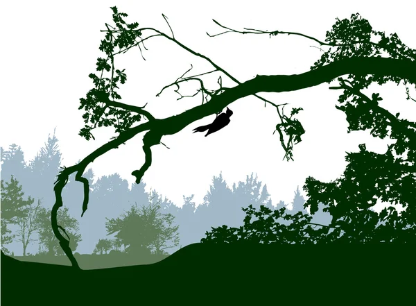 Paisaje forestal panorámico con siluetas de árboles y aves — Archivo Imágenes Vectoriales