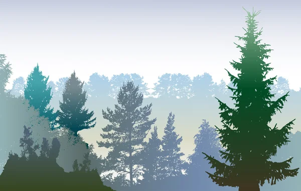 Panoramik kış orman manzara ile bitki ve yaprak dökmeyen ağaçlar siluetleri