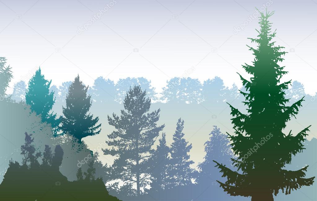 Panoramic winter forest landscape with silhouettes of plants and evergreen trees