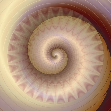 Spiraller elma dilimli yapısı seashell anımsatan ile arka plan