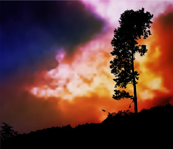Céu escuro com nuvens de tempestade e silhueta de uma árvore solitária — Vetor de Stock