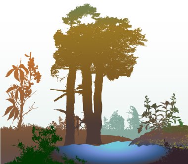 Doğal göl ve ağaçlar, otlar ve bitkiler siluetleri ile panoramik orman sulak