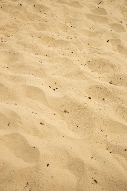Kumsalda sarı kum, bir yabancının ayak iziyle güneşli bir tatil gününde yürüyerek ya da yürüyerek kumsaldan geçer.