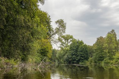 Ormanda hava bulutlu, haltern yakınında, küçük bir vahşi nehir (Stever) ile doğa duvar kâğıdı manzara, yapay göl veya rezervuar nehir
