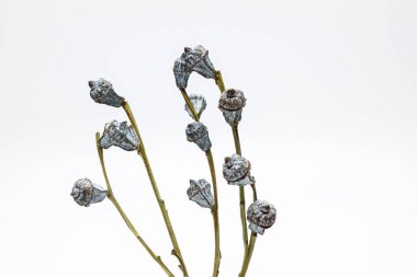 Beyaz üniforma arka planında kirli ve çizik bir yüzeyi olan elektronik bir makbuz yazıcısının profil görüntüsü. Bu cihaz başlangıçta bir yazar kasaya bağlıydı..