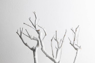 Üniforma beyaz zemin üzerinde beyaz boyalı soyut dallar, tasarım ögesi veya soyut arkaplan olarak kullanın.