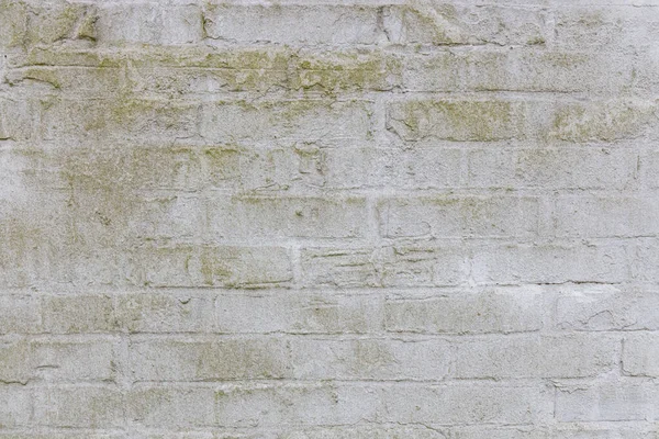 Texture shot of a white weathered brick wall with thick white paint, small dents and scratches with some degree of grunge and dirt, use for game model texture or reference