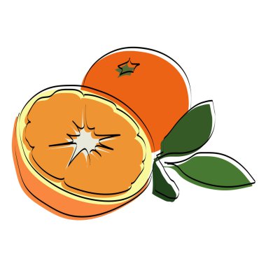 Bir meyvenin silüeti. Turuncu. Vektör illüstrasyonu.