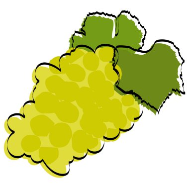 Böğürtlen silueti. Yeşil üzümler. Vektör illüstrasyonu.