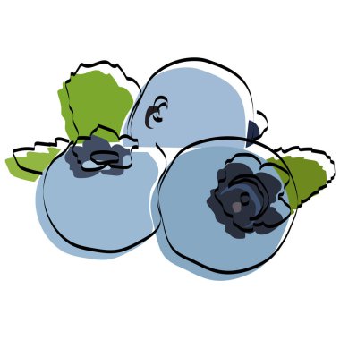 Böğürtlen silueti. Yabanmersini. Vektör illüstrasyonu.