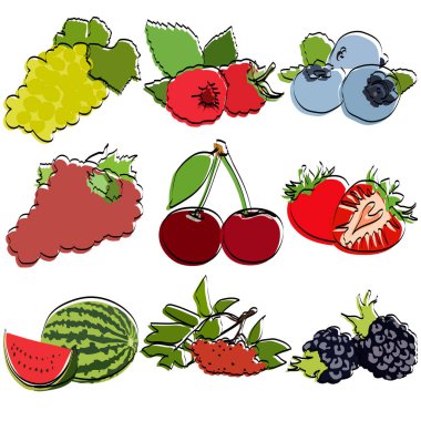 Böğürtlen hazır. Siluetler. Düz vektör illüstrasyonu.