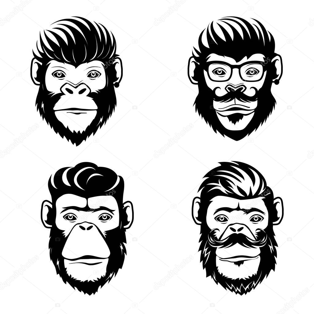 Cool monkeys logo design.Vector illustration isolated on white background