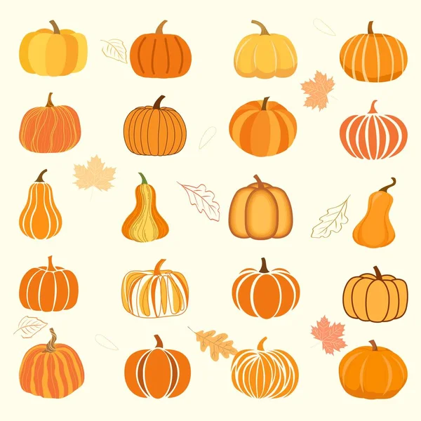 Calabazas Para Temporada Otoño Hojas Lindo Diseño Para Halloween Día — Archivo Imágenes Vectoriales