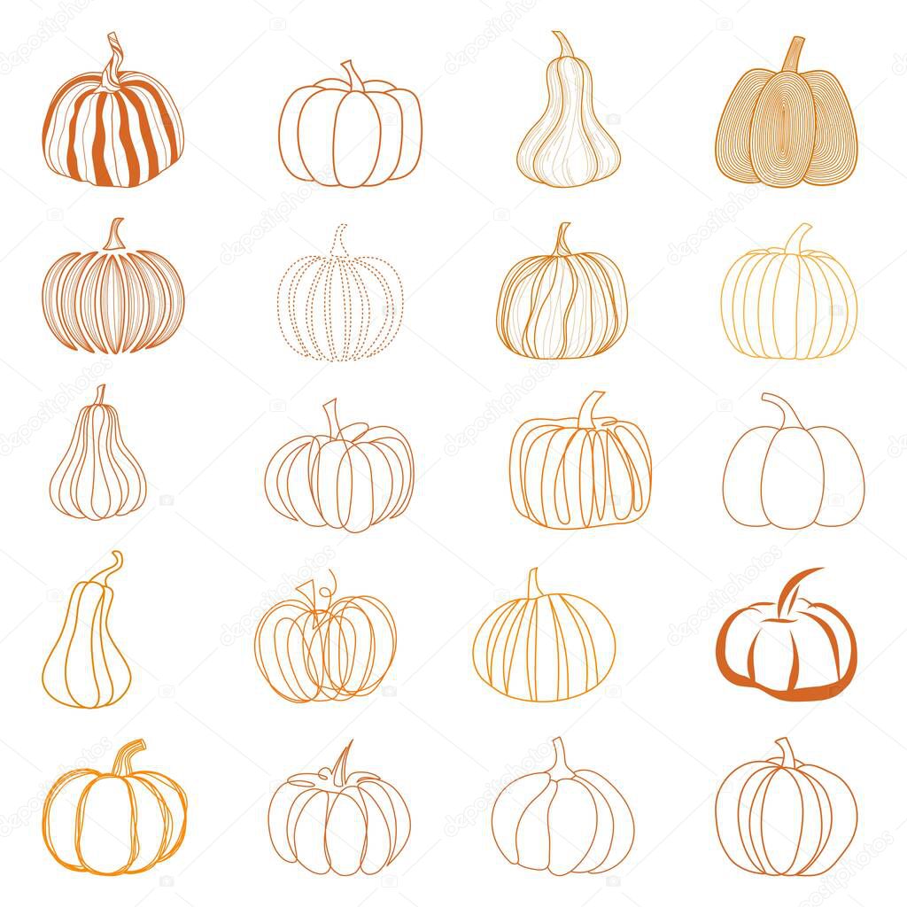 Set of linear pumpkin, icons set. Autumn hand drawn elements.Thanksgiving or halloween day pumpkins.Great for postcards, paper, desigh