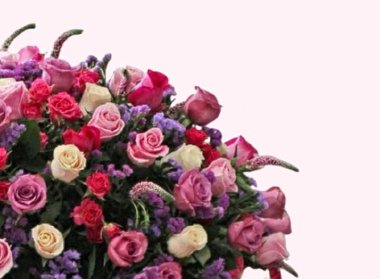 Güzel arka planı olan güzel çiçekler.