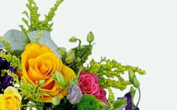 Lindas Flores Com Fundo Agradável — Fotografia de Stock