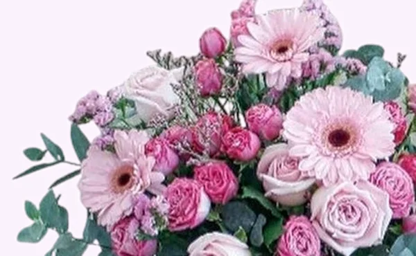 Piękne Kwiaty Ładnym Tle — Zdjęcie stockowe